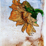 201)  Inchiostro e acquerello su carta - 25x35 cm - 2023 - IN VENDITA -