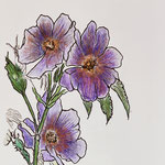 247) Inchiostro e acquerello su carta - 35,5x51 cm - 2023 - NON DISPONIBILE --  