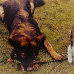 Balu und Sammy