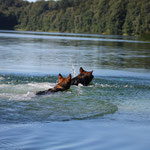 Balu und Tyra - Foto: Sven Hermes