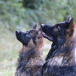 Balu und Tyra - Foto: Sven Hermes