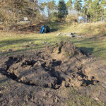 Fläche vorher