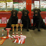 Nixie & Chilli & Master with their trophies and The Club TOP 2012 awards