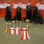 Family with trophies: Tango, Nixie, Master, Chilli, 13.04.2014