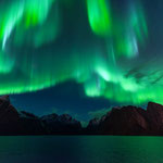 Northern Lights at Sakrisøy, Lofoten - This heavenly spectacle was incredibly impressive     © Stephan Stamm