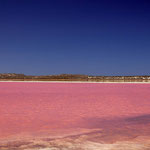 Pink Lake, Hutt Lagoon, Port Gregory WA