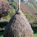 Facina (forma tradicional de almacenar la hierba)