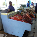Fish Market Jeddah Where We Used To Buy Excellent And Cheap Lobster