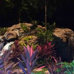 Hotel Feature Garden