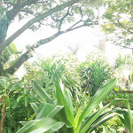 Gardens by the Bay