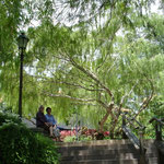 Botanical Gardens Singapore