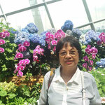 Gardens by the Bay