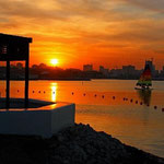 Marriott Beach Club