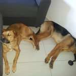Kira e Vicky