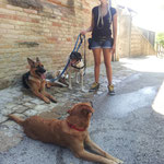 Vicky , Kira , Bhach e Penny