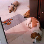 kira , Odi e Chicco