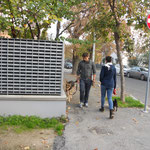Alessandro e Sara con Lucky e Shila 