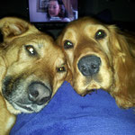 kira e Jimmy 3
