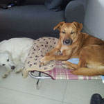 Kira e Kira :-)