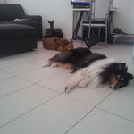 Benjamin,  Kira e Molly