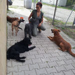 Pluto, Luna, Tobia, Jimmy e Kira