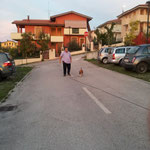 Simome e Molly