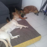 Penny, Vicky e Kira
