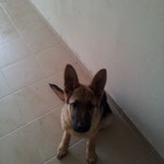 Athos