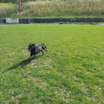 Shila