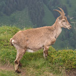 Bild-Nr. P6165576