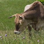 Bild-Nr. P5164205