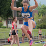 Bild Nr. 12