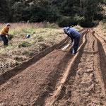 ふかふかの土　手作業で枯れ草や根を取っていたのでとてもきれい