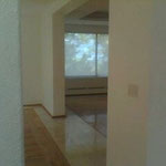 Limpieza de casa. Sala