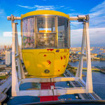 From the top of Ferris Wheel in Odaiba.