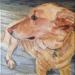 Daisy, 2015 Oil on canvas, 18 x 18 inches