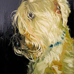 Jamie (II), 2006 Oil on canvas, 20 x 16 inches