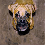 Marley, 1996 Oil on canvas, 26 x 26 inches