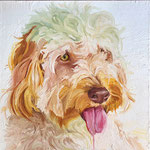 Ryder, 2019 Oil on canvas, 18 x 18 inches