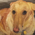 Daisy II, 2015 Oil on canvas, 18 x 18 inches
