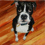 Lucy, 2010 Oil on canvas, 8 x 8 inches