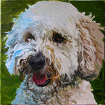 Duncan, 2013 Oil on canvas, 12 x 12 inches