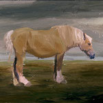 Horse, 2002 Oil on canvas, 16 x 20 inches