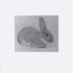 First Bunny, 2003 Graphite on paper, 19 3/4 x 12 5/8 inches