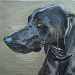 Dia, 2016 Oil on linen, 12 x 12 inches