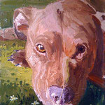 Toby, 2009 Oil on canvas, 30 x 23 inches