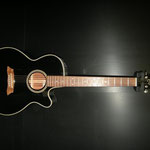 TAKAMINE PT106 BL カレッジギターズ