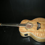 Daisy Rock Butterfly Jumbo Acoustic Electric Spolted Maple カレッジギターズ