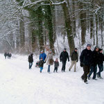 Auf in den Wald