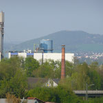 Blick vom Nest auf den Schreinereischornstein Horst III      Foto: Ulrike Mose